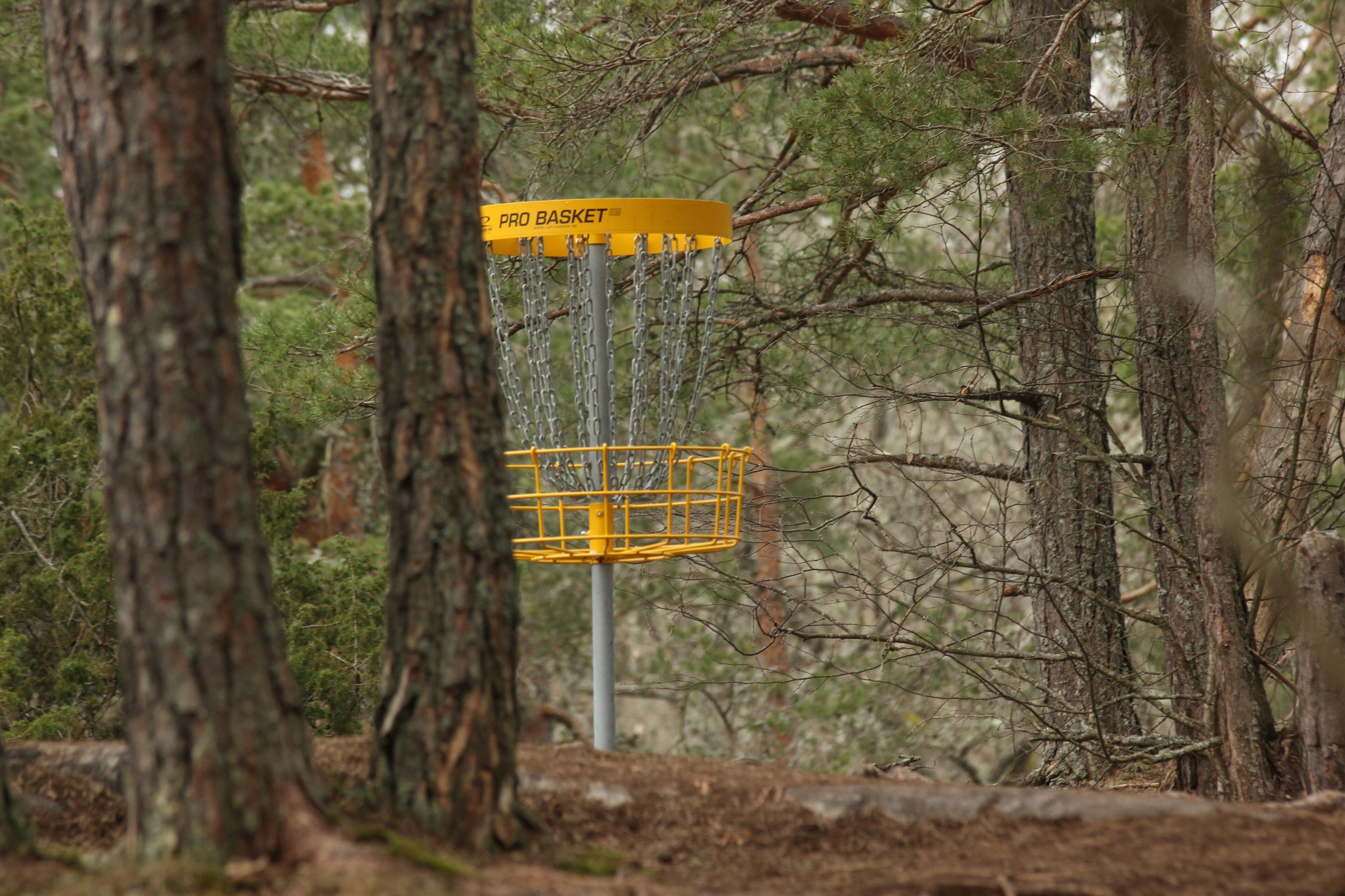 Frisbeegolf basket in the woods